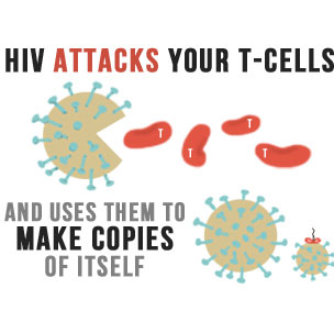 HIV Attacks your T-Cells and Uses them to make copies of itself