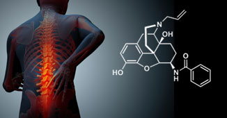 Image of back pain and molecule