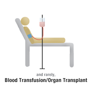 HIV can be transmitted through: Blood Transfusion/Organ Transplant
