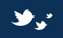 Icons of three birds featured in the Twitter logo