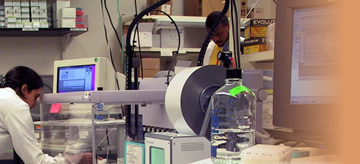 Young lab technicians working at the lab