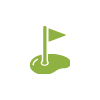 icon of a pin on a putting green