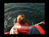 Coast Guard Crews Assist Entangled Leatherback Sea Turtle