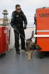 Coast Guard K-9 conducting sweep of Alcatraz Island Ferry