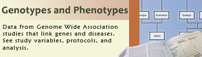 Information on Genotype and Phenotype