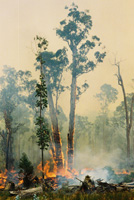 fire in Australia