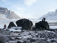 image of students on Baffin Island