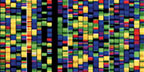 Colorful representation of DNA building blocks