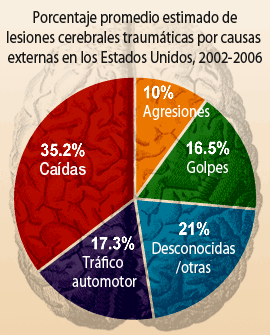 Porcentaje promedio estimado de lesiones cerebrales traumáticas por causas externas en los Estados Unidos, 2002-2006. 
