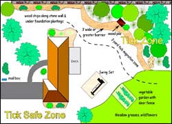 Graphic: Tick Safe Zone