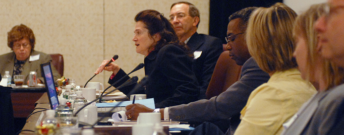 Advisory committee member speaking at a microphone