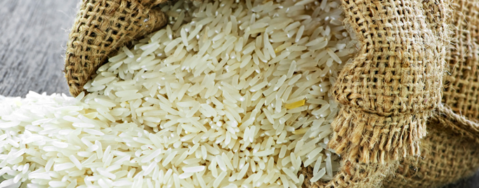 FDA Looks for Answers on Arsenic in Rice - (FEATURE)