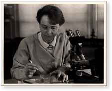 [Barbara McClintock in lab]. 26 March 1947.