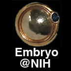 Embryo App Screenshot Sreenshot
