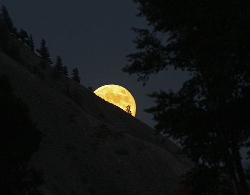 Image description: The moon rises over Mt. Everts in Yellowstone National Park.
Photo by Jim Peaco