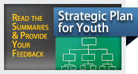 Read the summaries and provide your feedback. Strategic Plan for Youth