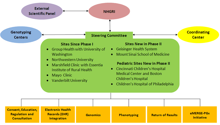 Chart showing Steering Committee in center; NHGRI, Coordinating Center and Genotyping Center around