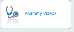 Anatomy Videos