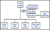 Organizational Chart