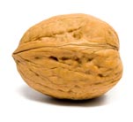 walnut