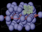 spherical dendrimers