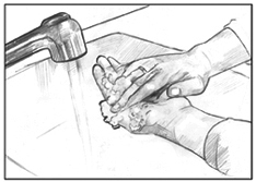 Drawing of a pair of hands being washed with soap under a sink faucet.