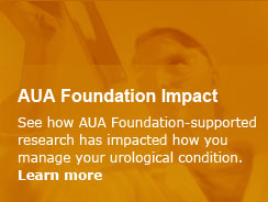 AUA Foundation Impact