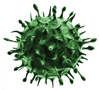 Illustration of Magnified Virus