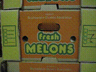 Fresh Melons