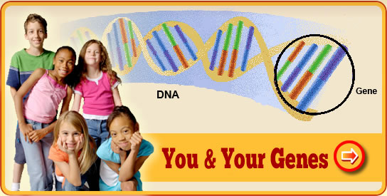 You and Your Genes