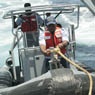 Coast Guard rescue operation