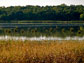 A dot on a map of the United States, Cherokee Marsh in Wisconsin is central to the Yahara watershed.