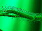 Image of a sundw leaf showing tentacles that secrete a powerful adhesive.