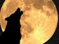 Silouette of a howling wolf with a full moon in the background.