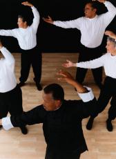 Photograph of seniors doing Tai Chi