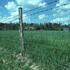 A fence in a pasture