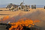 U.S., French Troops Conduct Mass Casualty Training in Djibouti