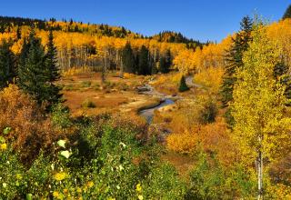 Best Fall Foliage Along These 5 American Byways 