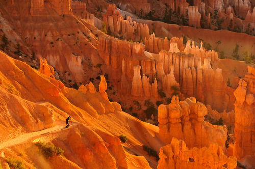Bryce Canyon National Park, famous for its worldly unique geology, consists of a series of horseshoe-shaped amphitheaters carved from the eastern edge of the Paunsaugunt Plateau. The erosional force of frost-wedging and the dissolving power of rainwater have shaped the colorful limestone rock of the Claron Formation into bizarre shapes, including slot canyons, windows, fins, and spires called &#8220;hoodoos.&#8221;Photo: Anand Rane 