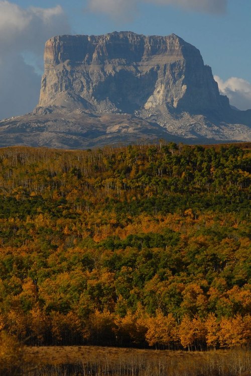 Chief Mountain and autumn colors. A perfect match in Glacier National Park.Photo: National Park Service 