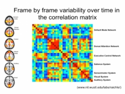 Frame by frame variability over time in the correlation matrix