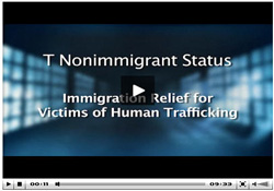 T Nonimmigrant Video icon