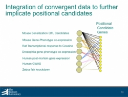 Integration of convergent data to further implicate positional candidates