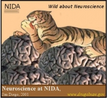 Winning Slogan: Wild About Neuroscience