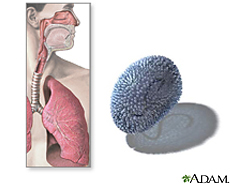 Ilustración de las vías respiratorias y el virus de la gripe