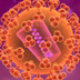 Illustration of an HIV virus.