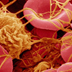 Image of clotted red blood cells.