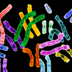 Image of brightly colored chromosomal pairs.