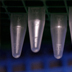 Photo of micro test tubes.