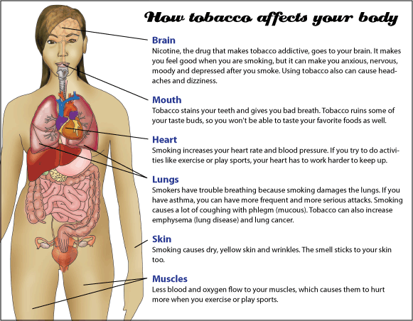 diagram of how tobacco affects your body